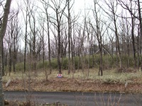 那須バケーションランド内土地、人気の大型別荘地